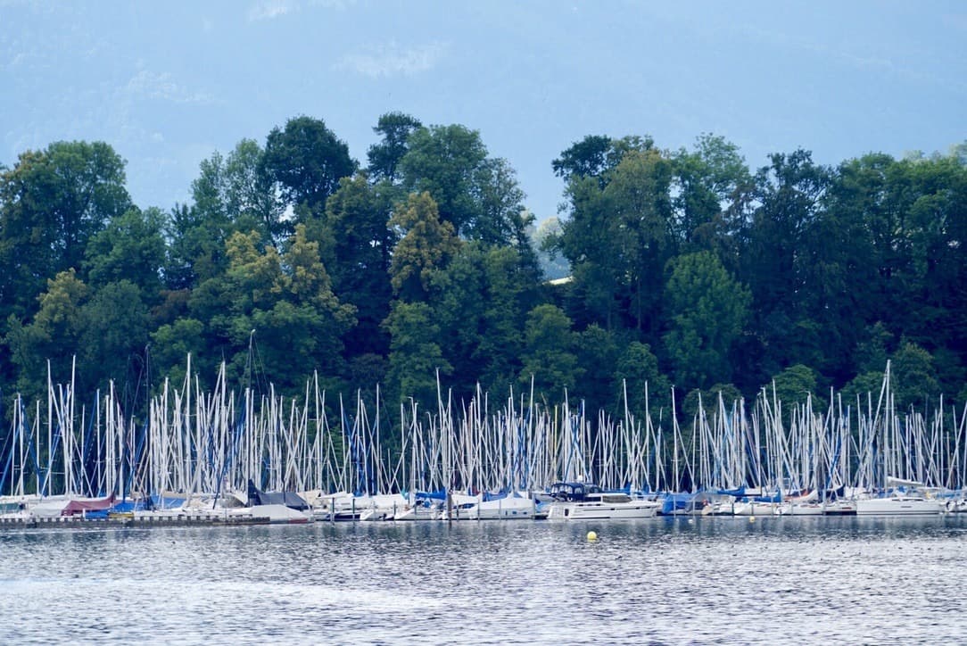 Sailboat masts along a tree-lined lake